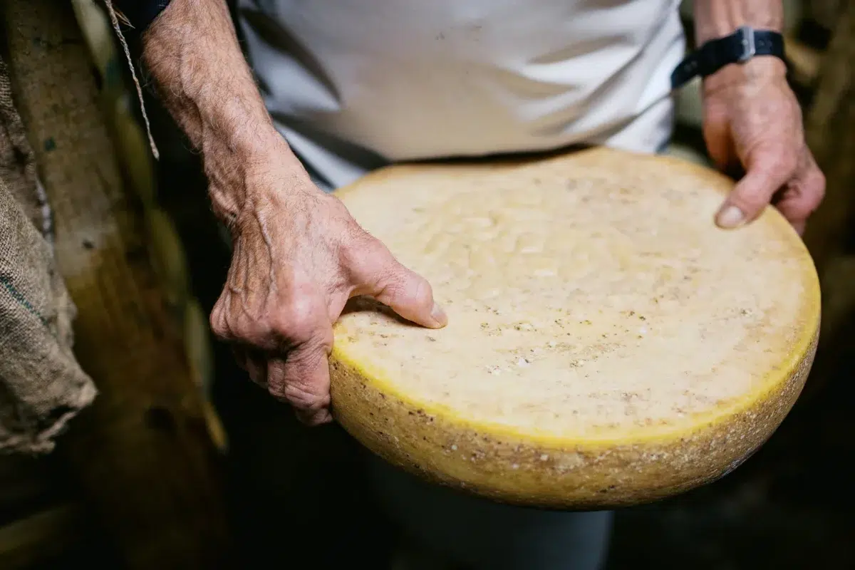 Photographe reportage Lyon : Gros plan sur les mains d'un artisan tenant une meule de fromage.