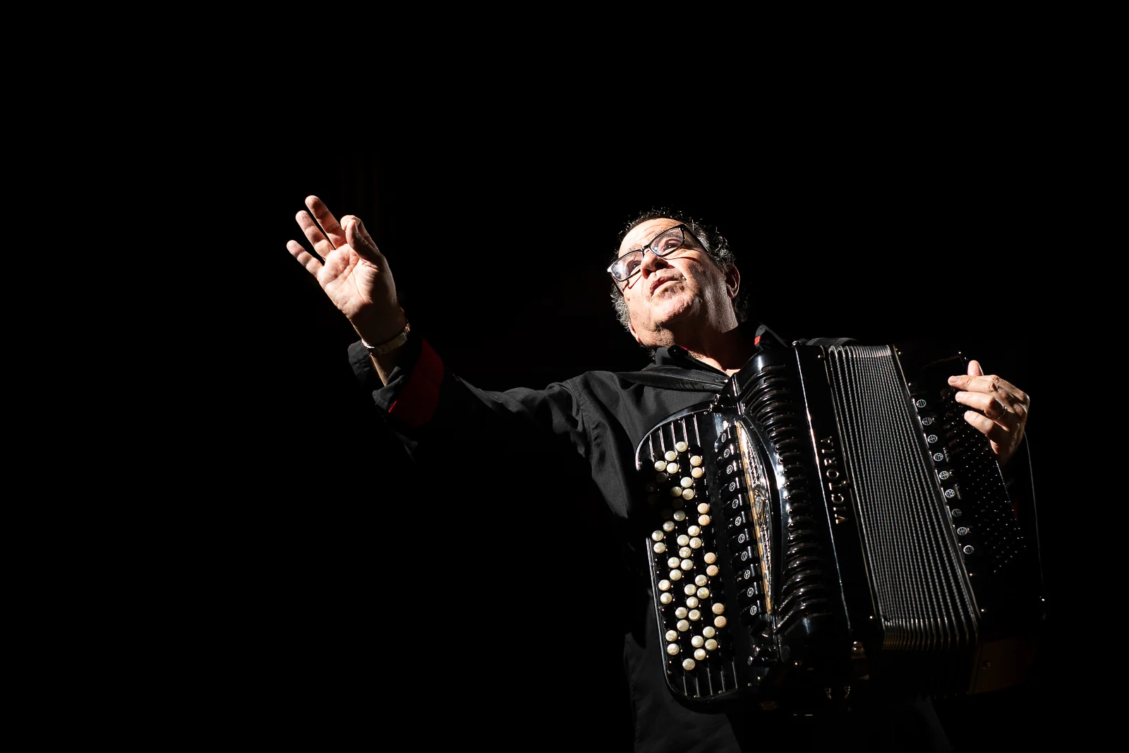Photographe portrait Lyon : accordéoniste en concert sous un éclairage dramatique clair-obscur.